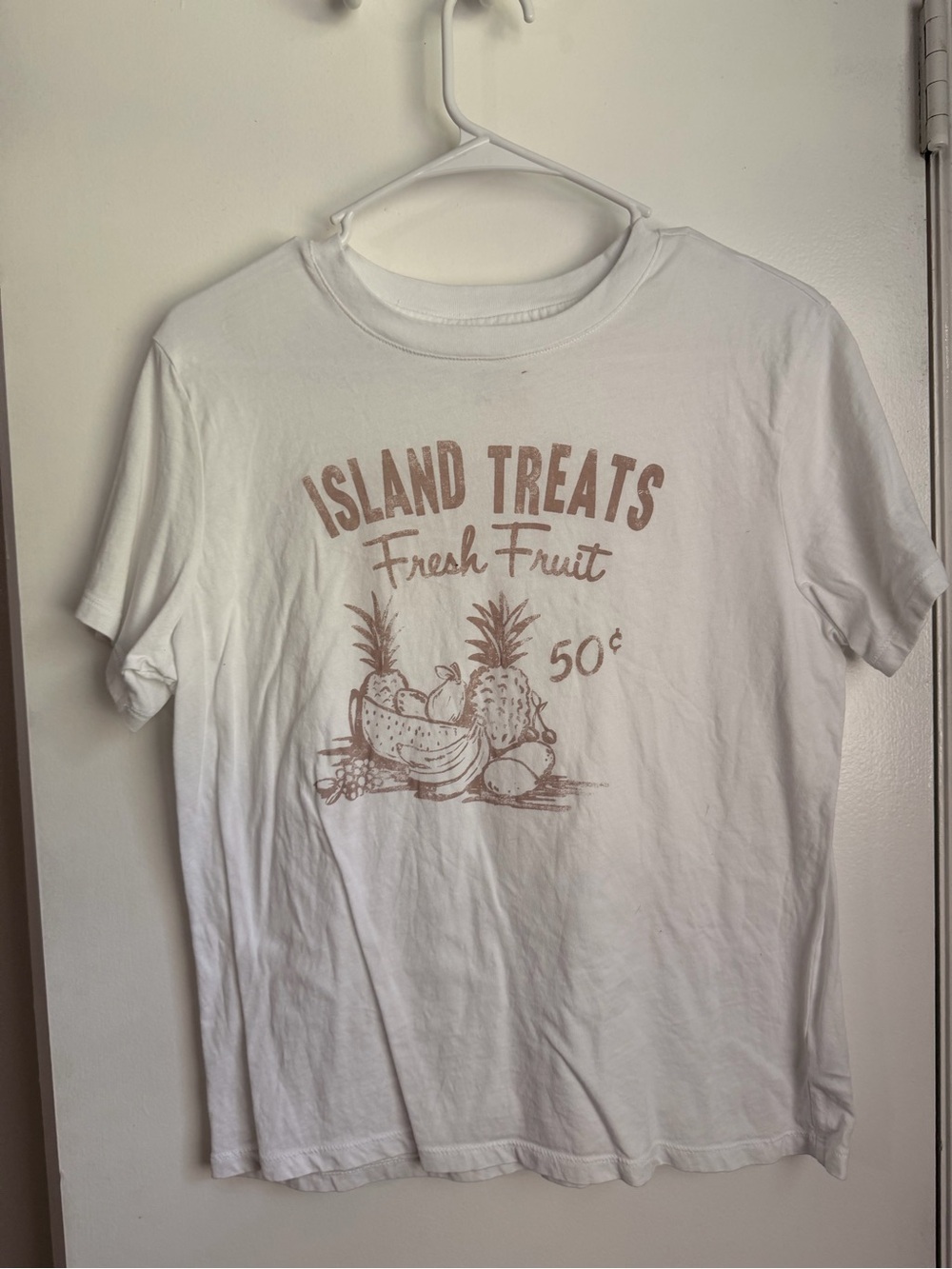 American Eagle Outfitters White Tee with Brown Fruit Graphic